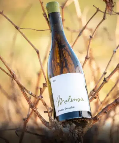 domaine-boudau-1 vin Domaine Boudau